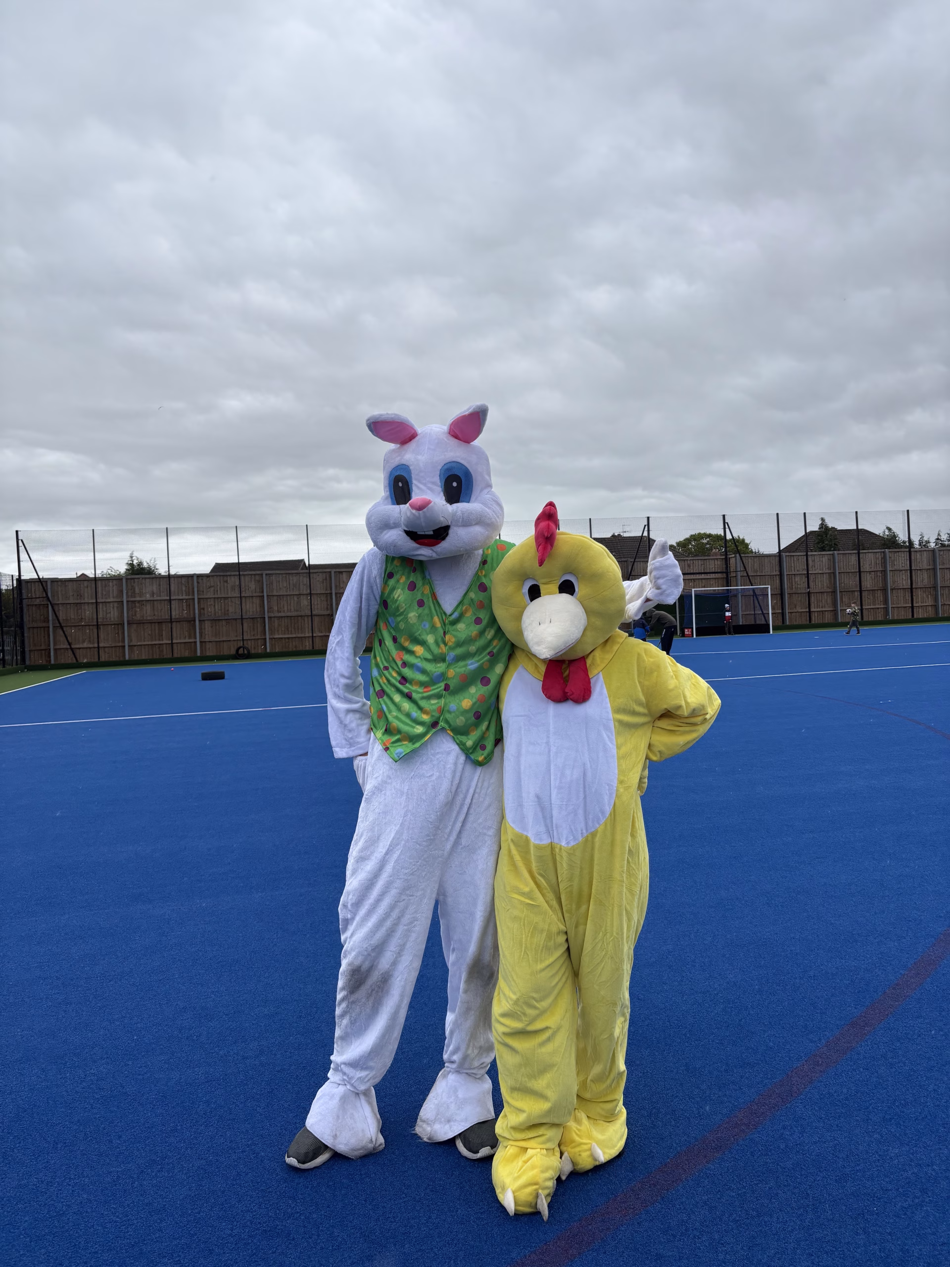 Oreo-the easter bunny and the chicken having a fun time on the pitch